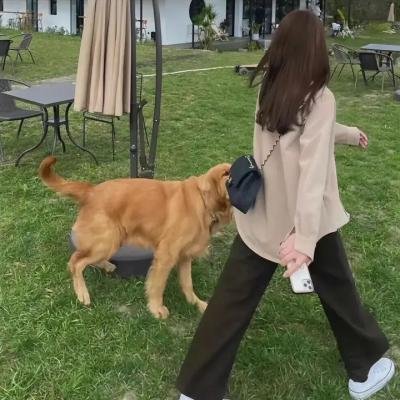 图腾诅咒